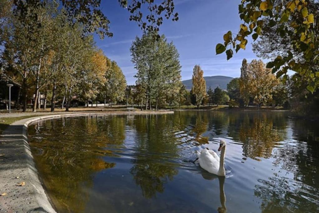 Ideal Parejas - Tranquilidad Y Naturaleza - Vistas Al Lago Osseja Luaran gambar