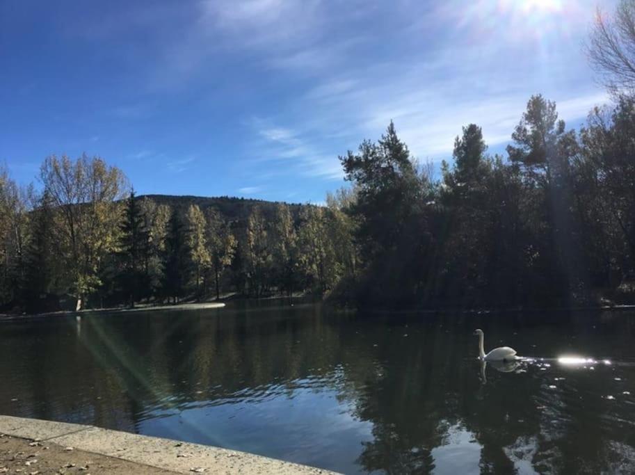 Ideal Parejas - Tranquilidad Y Naturaleza - Vistas Al Lago Osseja Luaran gambar